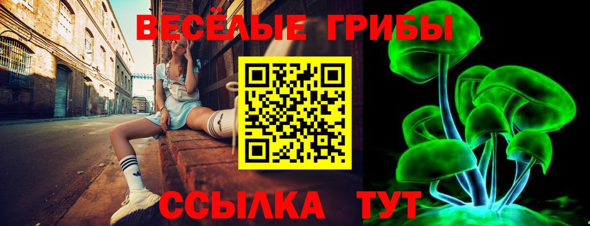 Наро-Фоминск  как найти закладки  Вход с VPN  Псилоцибиновые грибы мухоморы 